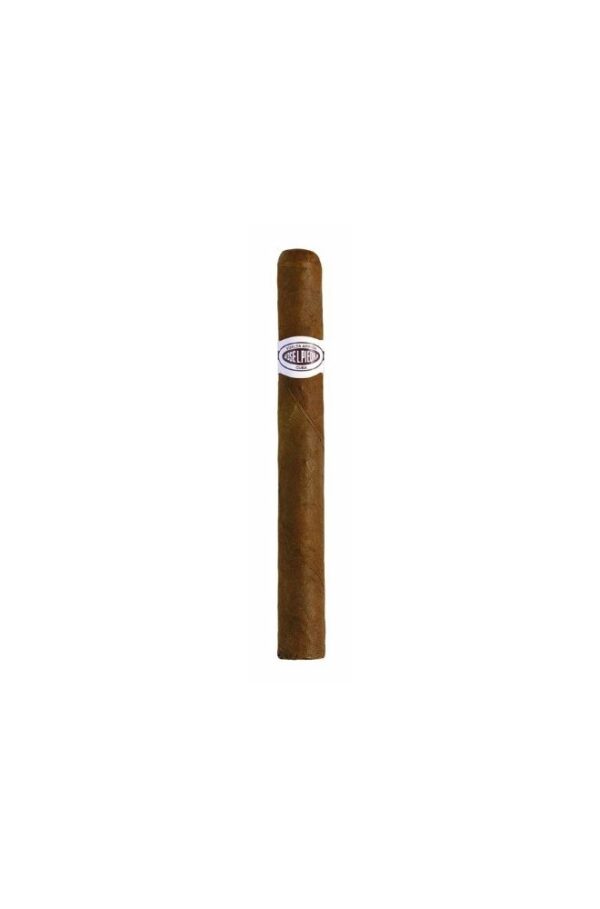 Cigar J.L.P Cazadores