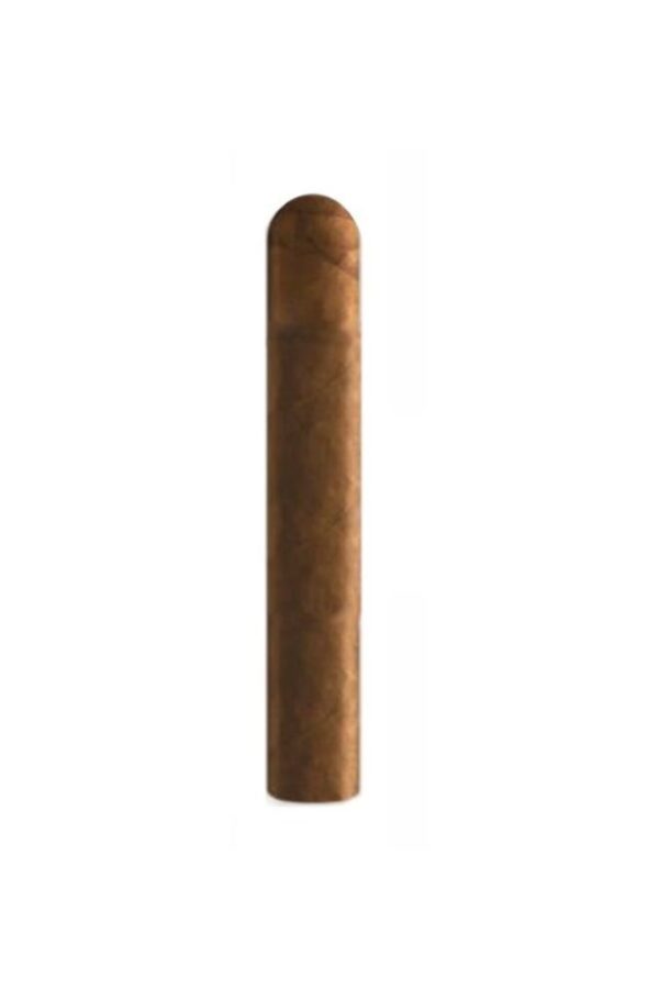 Cigar Santiago Connecticut Robusto