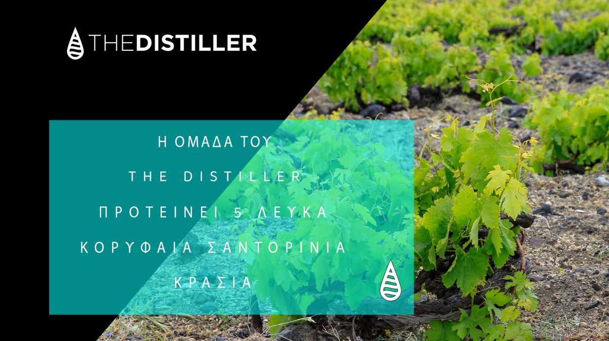 Η ομάδα του THE DISTILLER προτείνει 5 λευκά κορυφαία Σαντορινιά κρασιά!